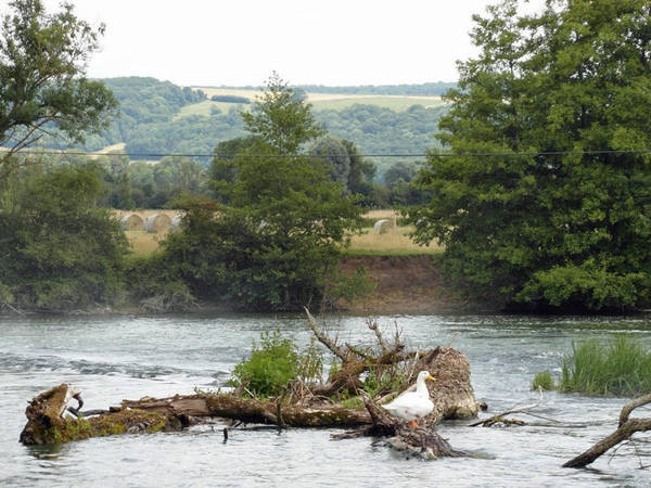 11-montherma-ps 11-montherma-ps