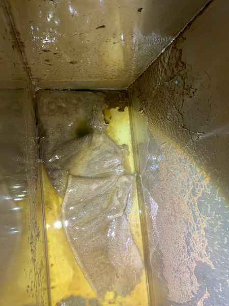 20231107-003-ps 20231107-003-ps