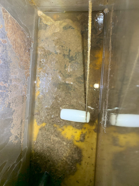 20231107-004-ps 20231107-004-ps