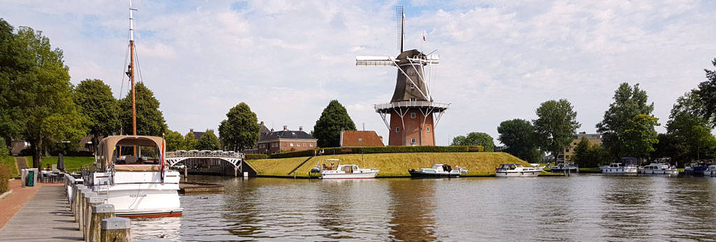 dokkum dokkum